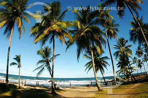  Resende Beach, Itacare city - Bahia state - Brazil - January 2006 