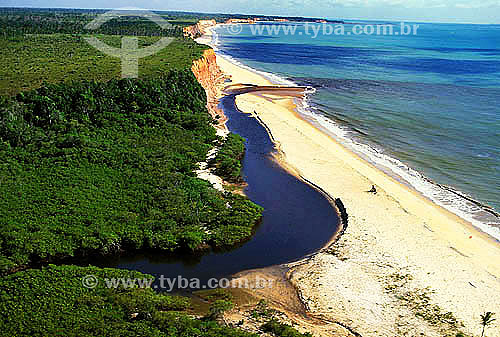  Aerial view of mangrove, cliff and small river delta - Prado city - Bahia state - Brazil 