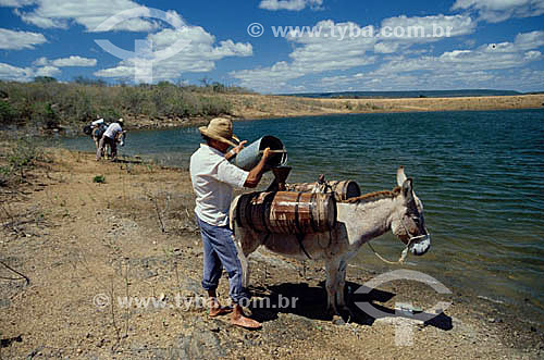  Two men catching water in the artificial lake in Aiuaba - transport in barrel on mule (donkey) - CE - Brazil 