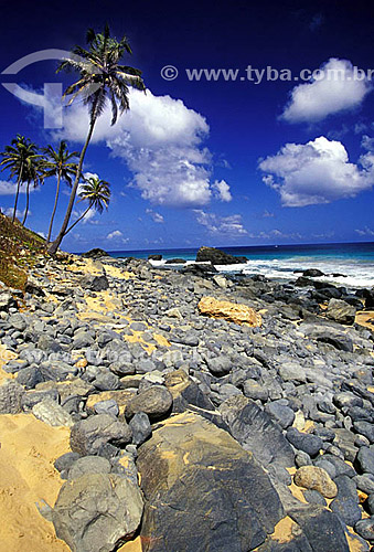  Praia do Meio (Half Beach) - Fernando de Noronha Island* - Pernambuco state - Brazil  * The archipelago Fernando de Noronha is a UNESCO World Heritage Site since 16-12-2001. 