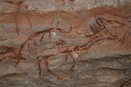  Cave painting - 