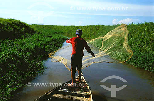  Fisherman casting a fishing net in a channel of the Amazon River near Santarem town - Para state - Brazil 