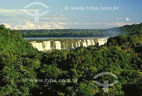  Iguaçu River Mouth Waterfalls in the background and forest in the foregorund - Iguaçu National Park* - Parana state - Brazil  * It is a UNESCO World Heritage Site since 11-28-1986. 
