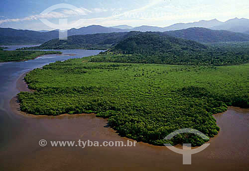  River - Atlantic Rainforest* - Parana state - Brazil  * The area of the Atlantic Forest, from Jureia Mountain Range in Iguape (Sao Paulo state) to the Ilha do Mel Island (Honey Island) in Paranagua (Parana state), is a Natural World Heritage Site of 