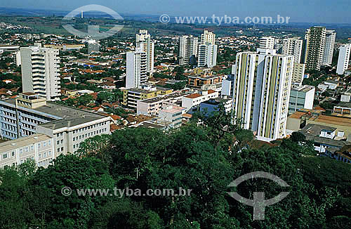  Trees in the foregorund with the city of Londrina in the background - Parana state - Brazil 