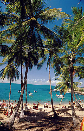  Calhetas Beach -  palm trees, people and boats - Pernambuco state - Brazil  