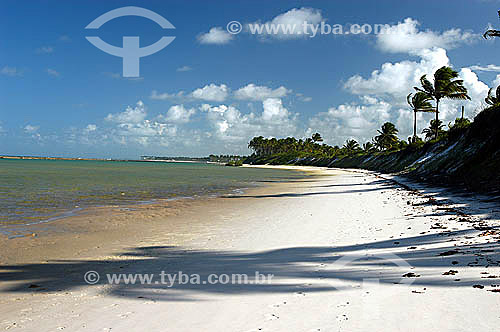  Beach at Muro Alto city - Pernambuco state coast - Brazil 