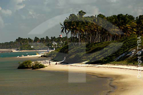  Muro Alto Beach - Pernambuco State - Brazil 