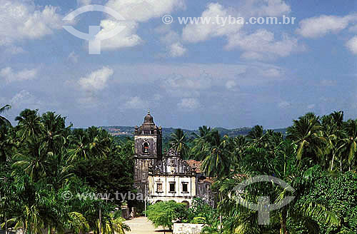 Igreja de Santo Antonio (St. Anthony church) surrounded by palmtrees - Igarassu city - Pernambuco state - Brazil 