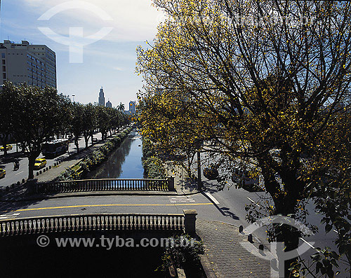  Trees (Religious ficus tree) at the Mangoose channel - Presidente Vargas Avenue - Rio de Janeiro city center - Rio de Janeiro state - Brazil 