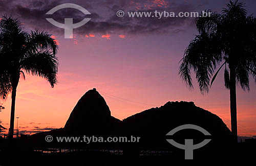  Silhouette of Sugar Loaf Mountain* framed between two palm trees at twilight - Rio de Janeiro city - Rio de Janeiro state - Brazil  *Commonly called Sugar Loaf Mountain, the entire rock formation also includes Urca Mountain and Sugar Loaf itself (th 