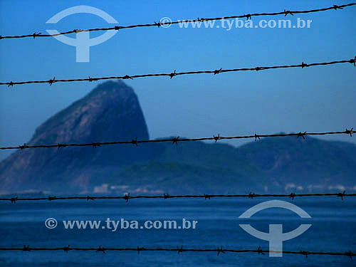  Barbed wire and The Sugar Loaf Mountain* in the background - Rio de Janeiro as seen from Niteroi city - Rio de Janeiro state - Brazi  *Commonly called Sugar Loaf Mountain, the entire rock formation also includes Urca Mountain and Sugar Loaf itself ( 