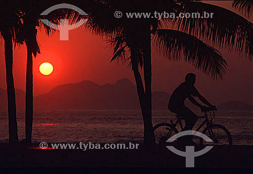  Copacabana Beach at daybreak with the silhouette of two palm trees and a man riding his bicycle in the foreground - Rio de Janeiro city - Rio de Janeiro state - Brazil 