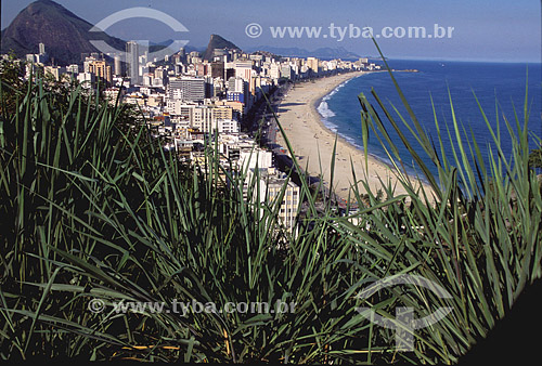  Ipanema and Leblon beaches and neiborhoods with bushes in the foreground - Rio de Janeiro city - Rio de Janeiro state - Brazil 