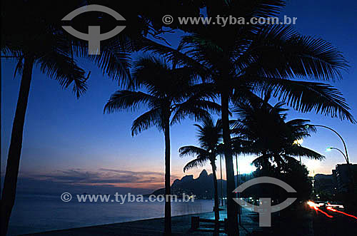  Silhouette of palm trees on Ipanema Beach at sunset with Rock of Gavea and Morro Dois Irmaos (Two Brothers Mountain)* in the background and the lights of cars passing on the right - Rio de Janeiro city - Rio de Janeiro state - Brazil  * The Gavea Ro 