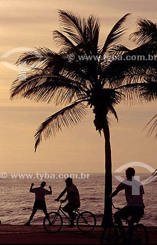  Leisure in Arpoador Beach at the sunrise near a coconut tree - Rio de Janeiro city - Rio de Janeiro state - Brazil 
