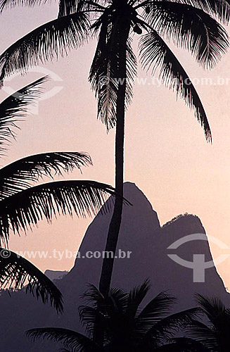  Silhouette of two palm trees at sunset on Ipanema neighborhood with the peak of Morro Dois Irmãos (Two Brothers Mountain)* in the background - Rio de Janeiro city - Rio de Janeiro state - Brazil  * The Two Brothers Mountain is a National Historic Si 