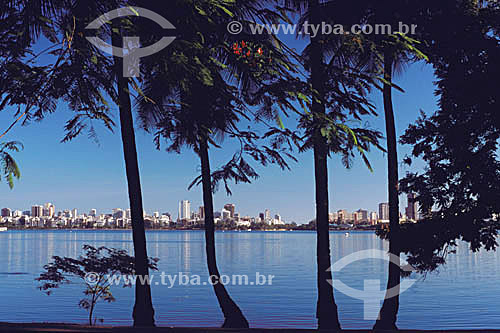  Lagoa Rodrigo de Freitas view, behind trees - Rio de Janeiro city - Rio de Janeiro state - Brazil 