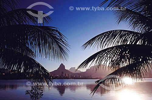  Morro Dois Irmaos (Two Brothers Mountain) and Rock of Gavea (1) view from Lagoa Rodrigo de Freitas (Rodrigo de Freitas Lagoon) (2) during the sunset - Coconut tree - Rio de Janeiro city - Rio de Janeiro state - Brazil  (1) The Rock of Gavea and the  