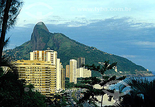  View of the buildings of the neighborhood of São Conrado behind some trees with Morro Dois Irmãos (Two Brothers Mountain)* in the background - Rio de Janeiro city - Rio de Janeiro state - Brazil  * National Historic Site since 08-08-1973. 