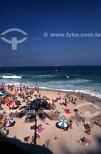  People on Joatinga Beach with a palm tree casting shadows on the sand - Rio de Janeiro city - Rio de Janeiro state - Brazil 