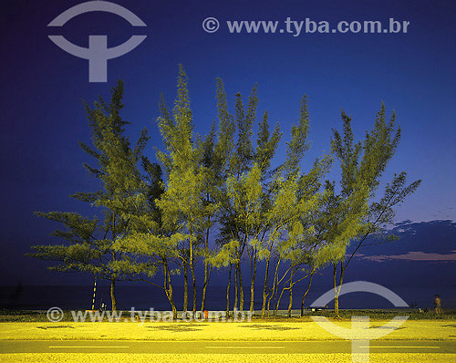  Bicycle pathway at Recreio dos Bandeirantes beach - Rio de Janeiro city - Rio de Janeiro state - Brazil 