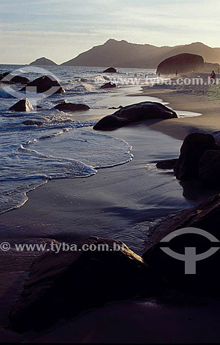  Grumari beach - Rio de Janeiro city - Rio de Janeiro state - Brazil 