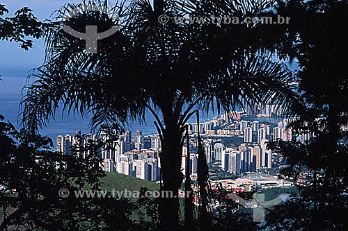  Barra da Tijuca behind the silhouette of trees - climb of the Rock of Gavea* - Rio de Janeiro city - Rio de Janeiro state - Brazil  * The Rock of Gavea is a National Historic Site since 08-08-1973. 