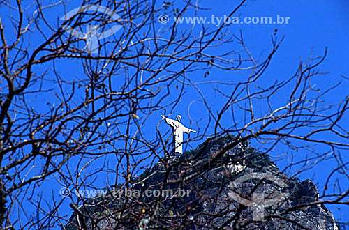  Cristo Redentor (Christ the Redeemer) atop Morro do Corcovado (Corcovado Mountain) as seen through tree branches  - Rio de Janeiro city - Rio de Janeiro state (RJ) - Brazil