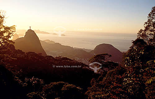  Corcovado Mountain seen from Paineiras at Tijuca National Park at sunrise - Rio de Janeiro city - Rio de Janeiro state - Brazil 