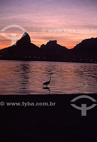  Lagoa Rodrigo de Freitas (Rodrigo de Freitas Lagoon) (1) at sunset, with the silhouettes of a crane in the foreground and Morro Dois Irmaos (Two Brothers Mountain) and Rock of Gavea (2) in the background - Rio de Janeiro city - Rio de Janeiro state  