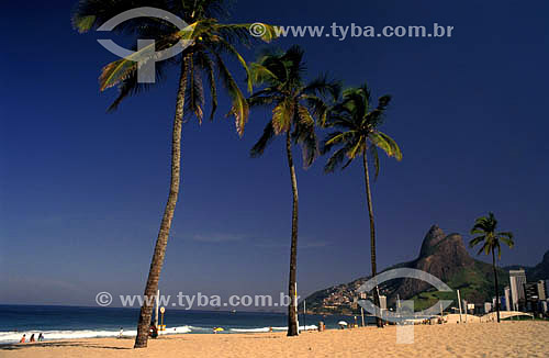  Ipanema Beach, with coconut trees and Morro Dois Irmaos (Two Brothers Mountain)* in the background - Rio de Janeiro city - Rio de Janeiro state - Brazil *National Historic Site since 08-08-1973. 