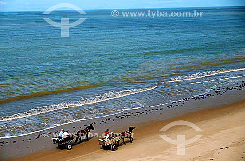  Aerial view of two horse-drawn wagons on Praia de Atafona (Atafona Beach) - Campos (*) city - Rio de Janeiro state - Brazil  (*) The complete name for this city is Campos dos Goytacazes, which is located in the north of the state of Rio de Janeiro,  