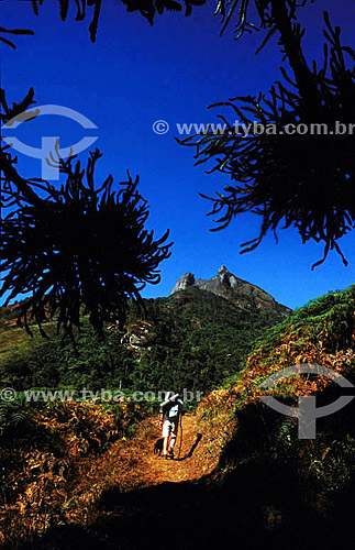  Sport - trekking - Selada Rock - Mantiqueira Moutain Range - Rio de Janeiro state - Brazil 