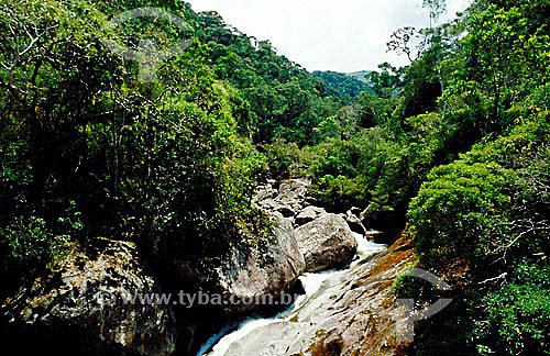  Campo Belo River - Itatiaia Nationa Park - Atlantic Rain Forest - Rio de Janeiro state inland - Brazil 