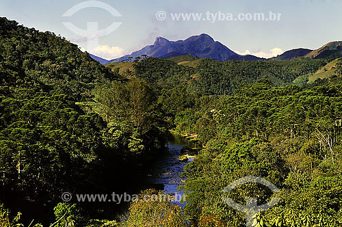  River and vegetation in Visconde de Maua region - Rio de Janeiro state - Brazil 