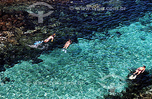  Overhead view of people snorkeling on the reefs in Angra dos Reis city - Costa Verde (Green Coast) - Rio de Janeiro state - Brazil 