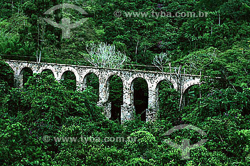  Aerial view of the Aqueduto Lazareto, constructed in the 19th century to carry water to a section of Ilha Grande (Big Island) which was used as a quarantine center during epidemics - APA dos Tamoios (Tamoios Ecological Reserve) - Costa Verde (Green  