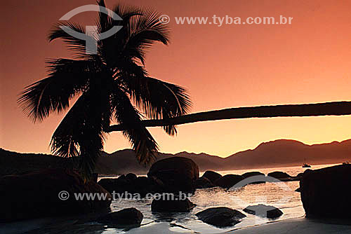 Praia do Sul (South Beach) at sunset - Ilha Grande (Big Island) - APA dos Tamoios (Tamoios Ecological Reserve) - Costa Verde (Green Coast) - Angra dos Reis city - Rio de Janeiro state - Brazil 