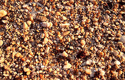  Detail of the mixture of pebbles, shells, and sand found in the beaches of the city of Cabo Frio - Costa do Sol (Sun Coast) - Regiao dos Lagos (Lakes Region) - Rio de Janeiro state - Brazil 