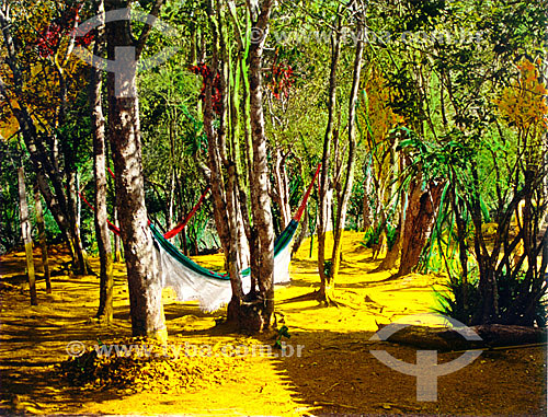  Hammock and trees in the flowery forest - Búzios city - Costa do Sol (Sun Coast) - Regiao dos Lagos (Lakes Region) - Rio de Janeiro state - Brazil 