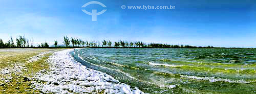  Lagoon with foam produced by the constant wind and perhaps also due the higher content of salt - Araruama Lake - Araruama city - Rio de Janeiro state - Brazil 
