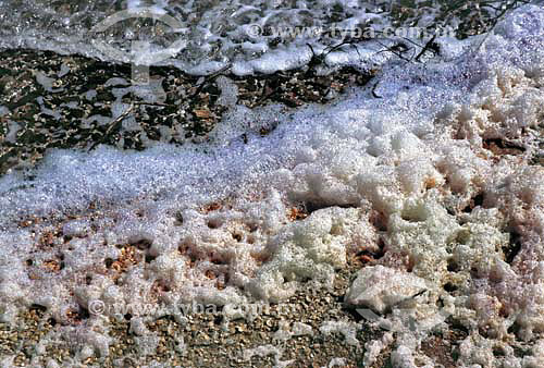  The foam produced by the constant wind and perhaps also due the higher content of salt - Araruama Lake - Araruama city - Rio de Janeiro state - Brazil 