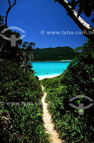  An access trail leading to Praia do Pontal do Atalaia (Atalaia Point Beach) - Arraial do Cabo city - Costa do Sol (Sun Coast) - Regiao dos Lagos (Lakes Region) - Rio de Janeiro state - Brazil 