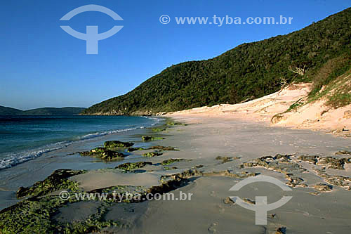  Praia da Ilha do Farol (Lighthouse Island Beach) - Arraial do Cabo city - Costa do Sol (Sun Coast) - Regiao dos Lagos (Lakes Region) - Rio de Janeiro state - Brazil 
