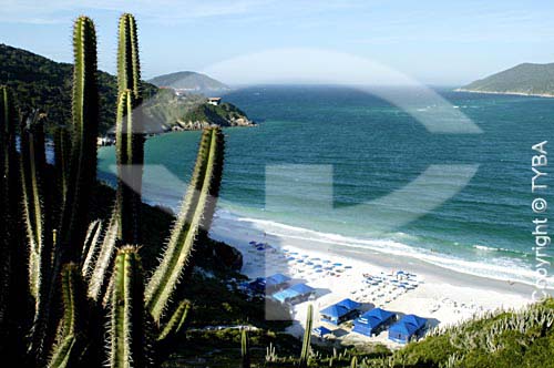  View of the beach in Arraial do Cabo city with a cactus in the first plan - Costa do Sol (Sun Coast) - Regiao dos Lagos (Lakes Region) - Rio de Janeiro state - Brazil 