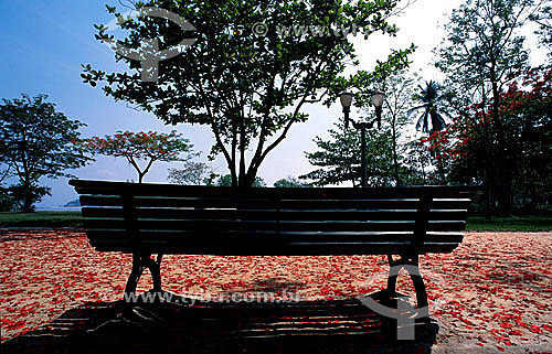  A park bench in Parque Darke de Matos (Darke de Matos Park) on Ilha Paqueta (Paqueta Island) in Guanabara Bay - Rio de Janeiro state - Brazil 