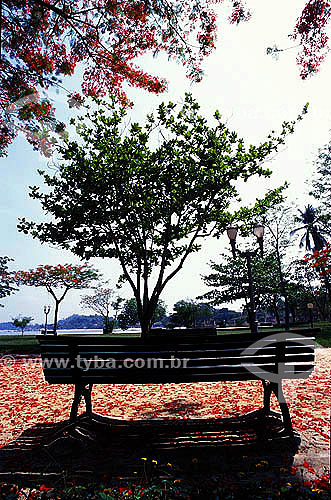  A square bench surrounded by trees at Paqueta island - Rio de Janeiro city - Rio de Janeiro state - Brazil 