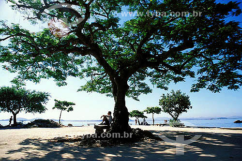  Man resting under a tree on a square bench - Paqueta island - Rio de Janeiro city - Rio de Janeiro state - Brazil 