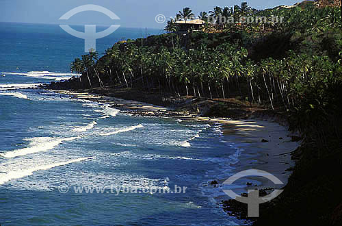  Timbau do Sul beach - Rio Grande do Norte state - Brazil 